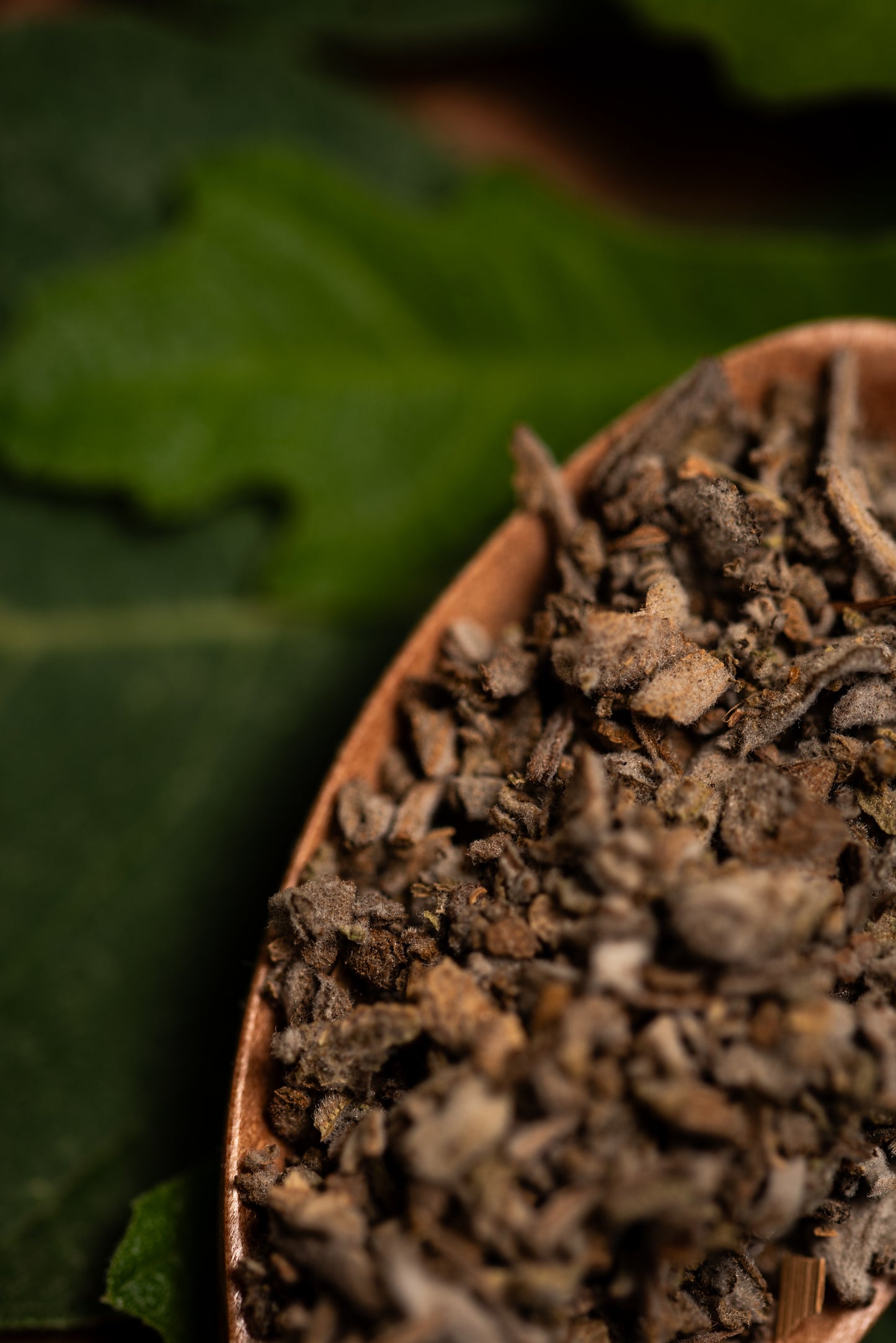 Incienso de Salvia Blanca