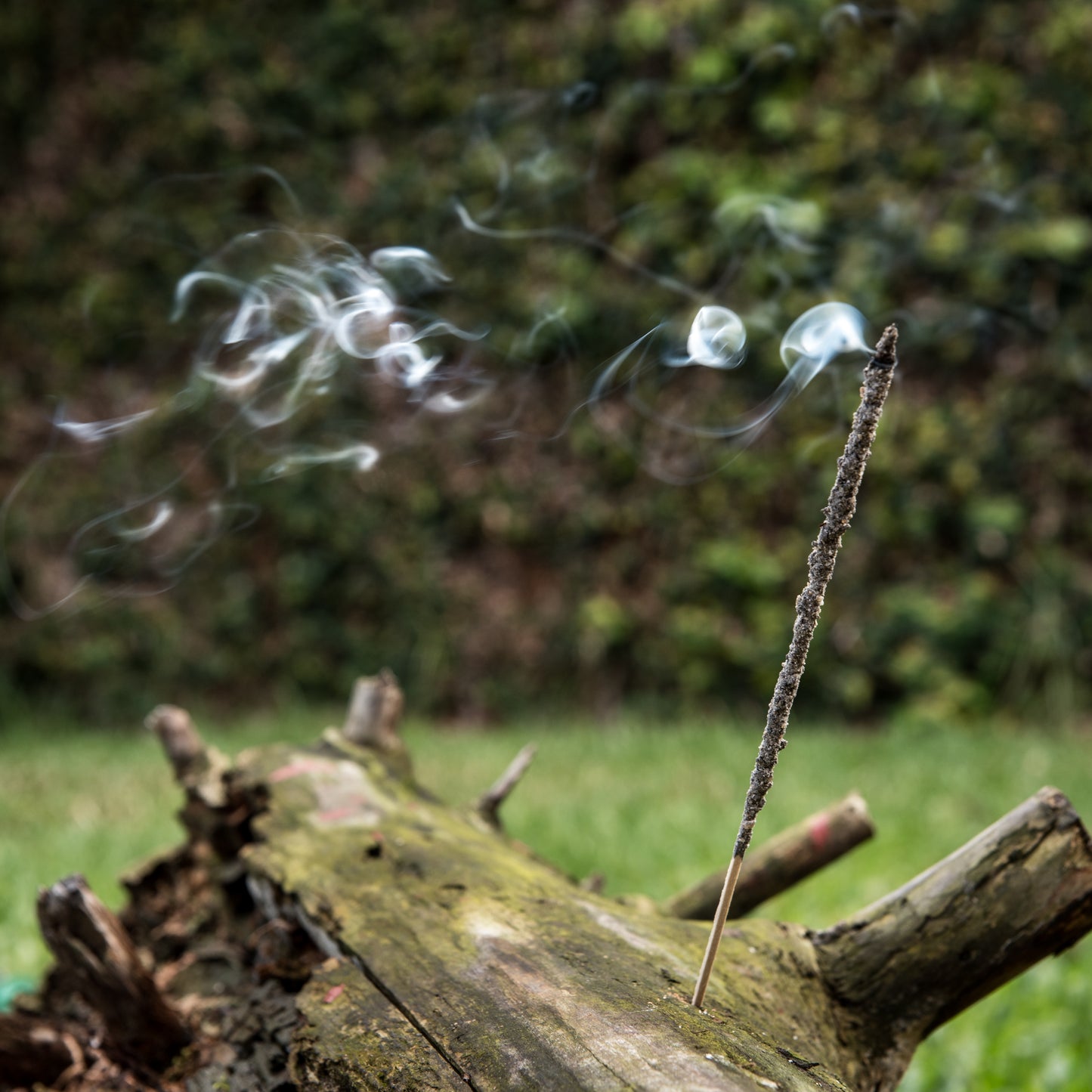 Incienso de Copal Natural