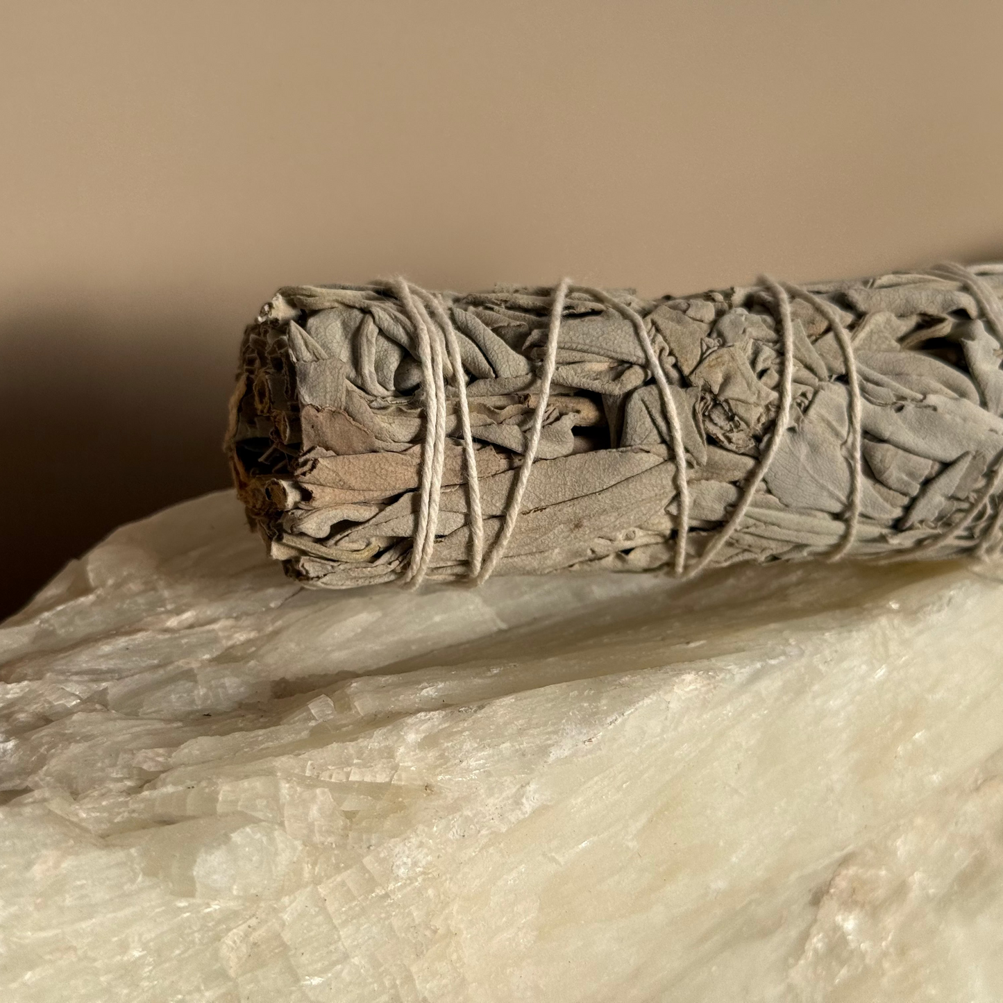 Atado Salvia blanca